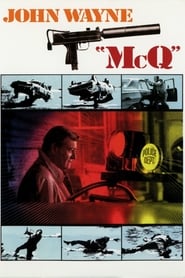 Detektyw McQ